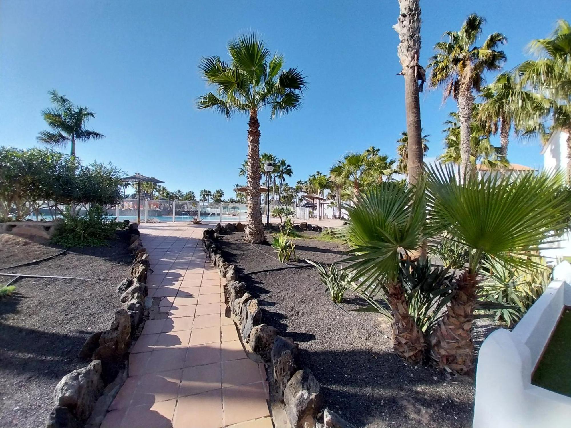 Brightblue Oasis By Sea There Fuerteventura Corralejo