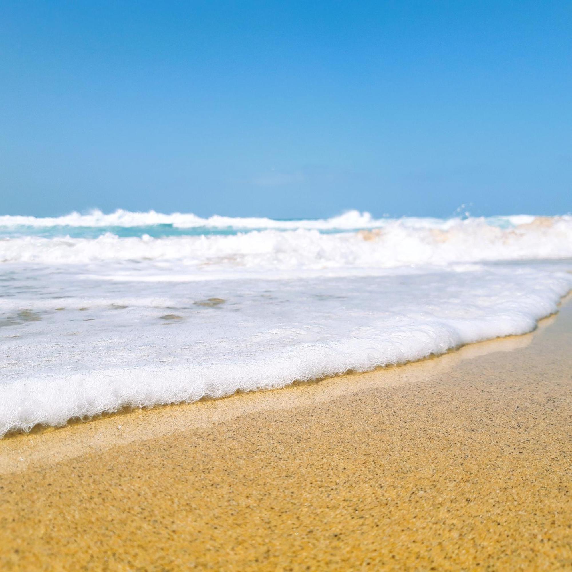 Apartment Brightblue Oasis By Sea There Fuerteventura *